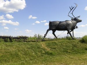 Tippstarenen med ackja, riven eftersom träet vittrade bort. Foto: Eva Uvemalm