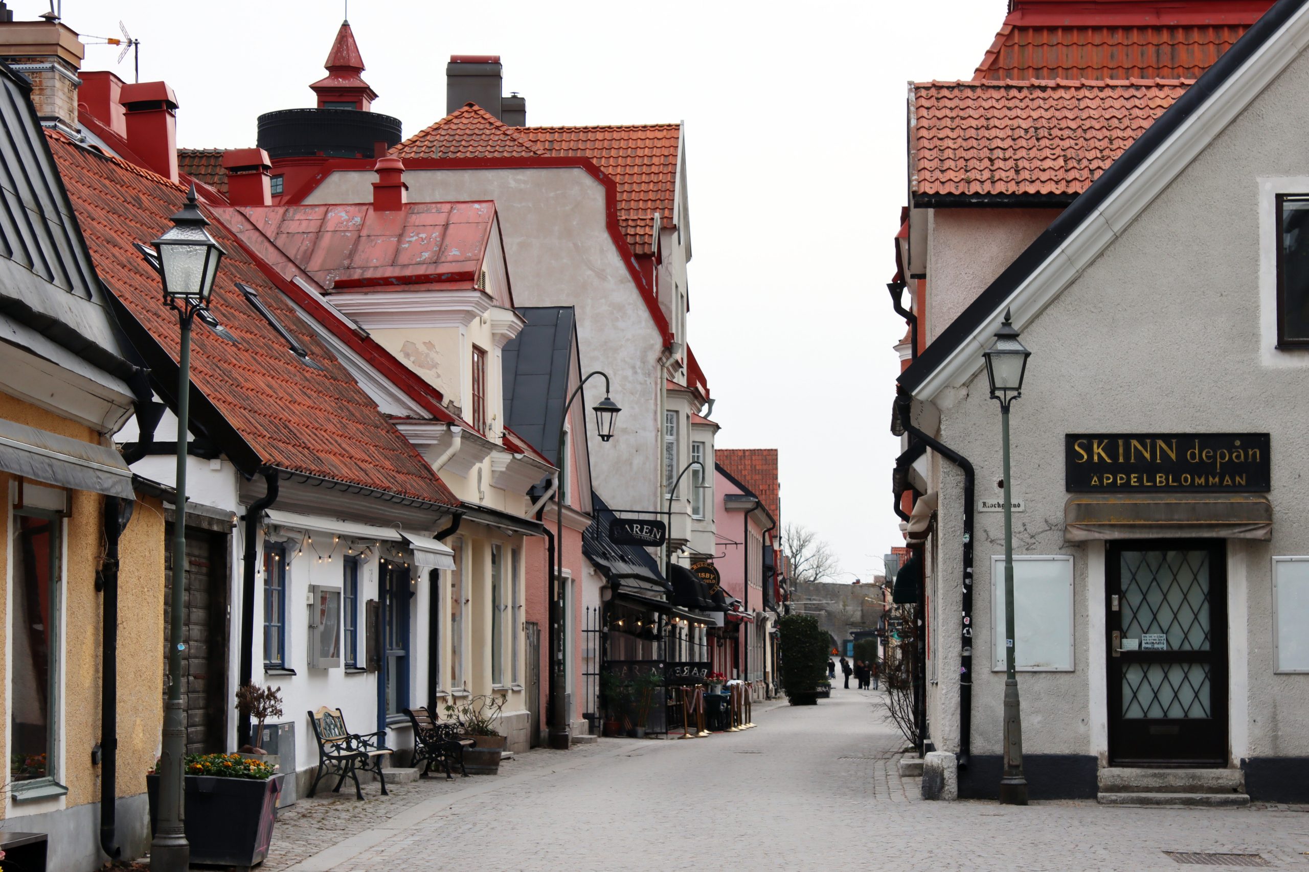 Visby är känd som rosornas stad under sommaren. Foto: Elin Westerlund
